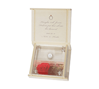 ダイヤモンドプロポーズ