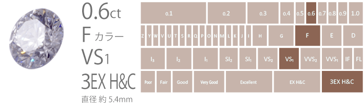 大きさにこだわり 大きさにこだわり
