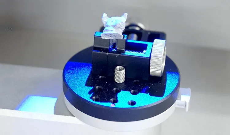 3dスキャナー犬