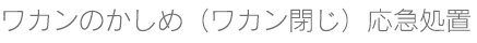 ワカン閉じ