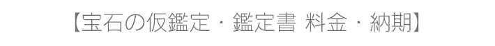 仮鑑定・鑑定書 料金・納期