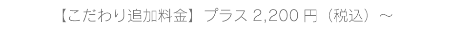こだわりの追加料金対応プラン