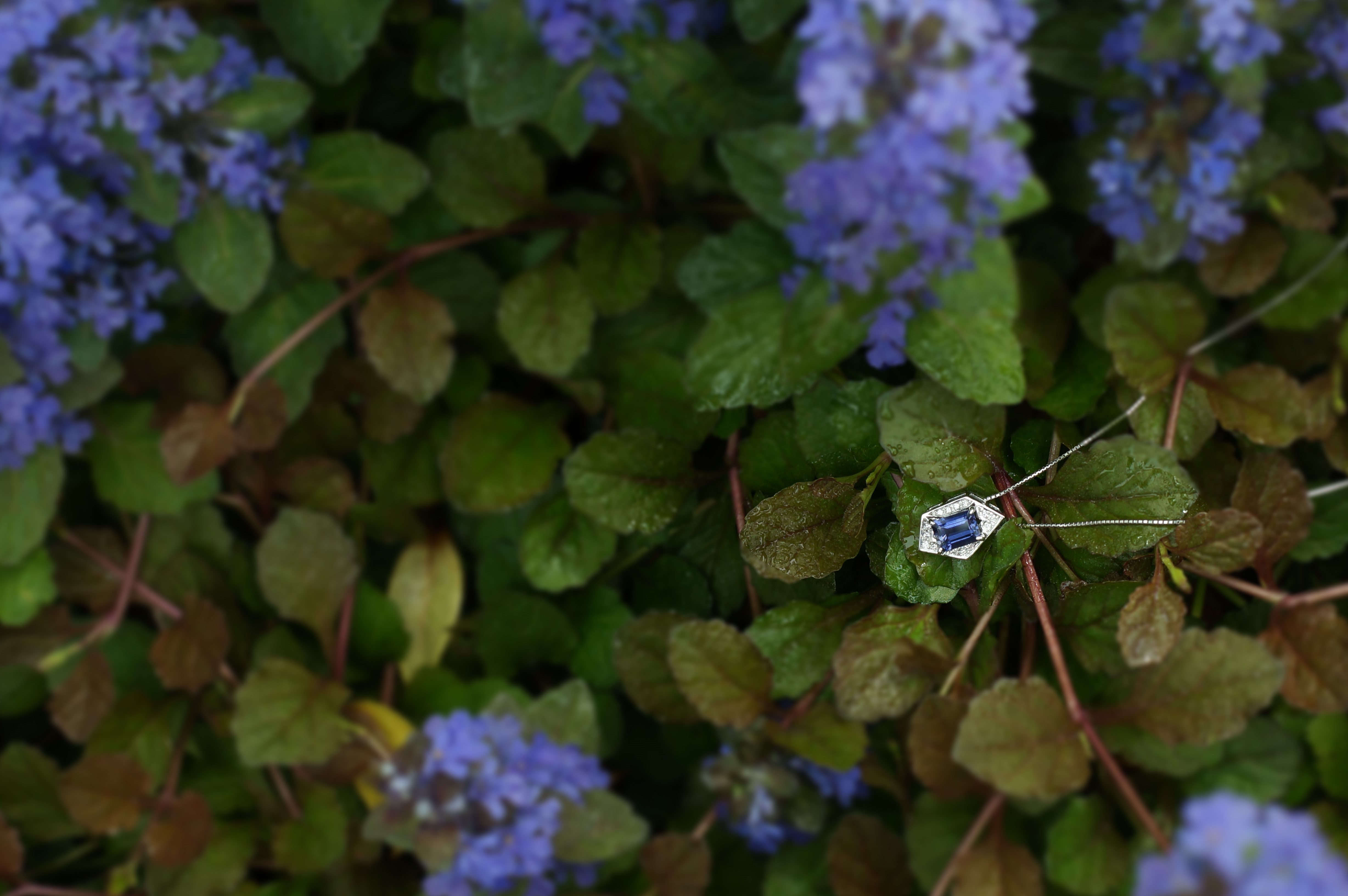 ペンダントW51520XPVB美しい青紫に咲く花から絞ったような宝石「アイオライト」