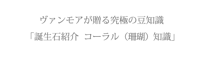 ヴァンモアが贈る究極の豆知識 